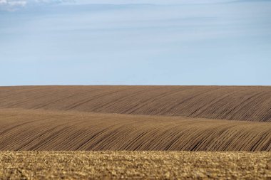 Baharda sürülen tarla. Podilski Tovtry Doğa Koruma Alanı, Podolia Bölgesi, Güneybatı Ukrayna