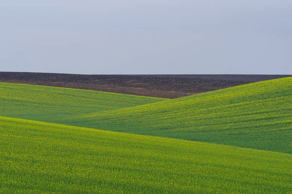 Paysage Agricole Printanier Réserve Naturelle Podilski Tovtry Région Podilia Sud — Photo