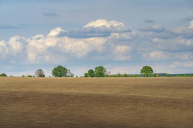 Baharda sürülen tarla. Podilski Tovtry Doğa Koruma Alanı, Podolia Bölgesi, Güneybatı Ukrayna