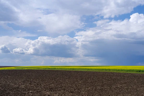 Field Ploughed Spring Podilski Tovtry Nature Reserve Podolia Region South — Stock Photo, Image