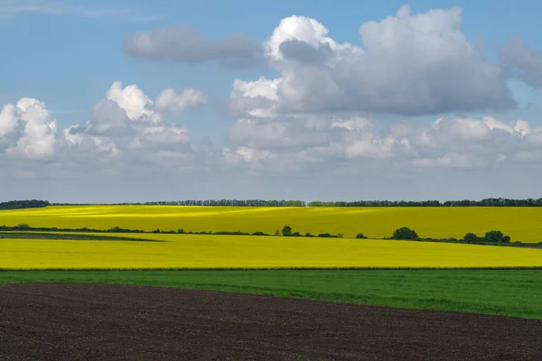 Paysage Agricole Printanier Réserve Naturelle Podilski Tovtry Région Podilia Sud — Photo