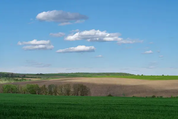 Våren Jordbrukslandskap Podilski Tovtry Naturreservat Podilia Regionen Sydvästra Ukraina — Stockfoto