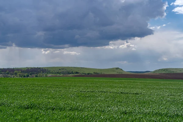 Våren Jordbrukslandskap Podilski Tovtry Naturreservat Podilia Regionen Sydvästra Ukraina — Stockfoto