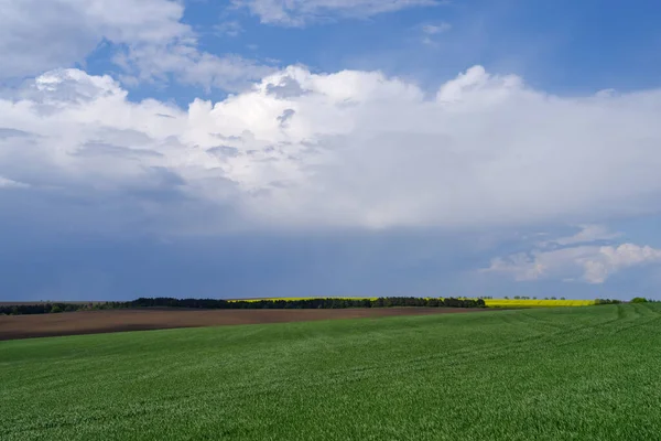 Spring Agricultural Landscape Podilski Tovtry Nature Reserve Podilia Region South — Stock Photo, Image