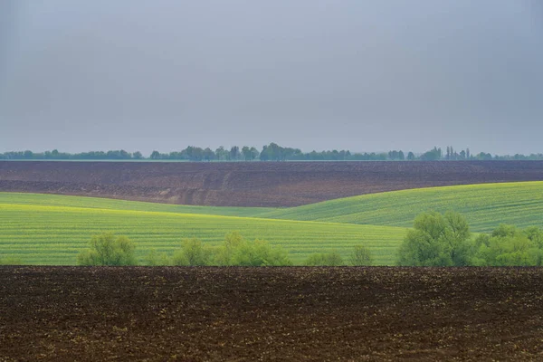 Voorjaar Landbouwlandschap Podilski Tovtry Natuurreservaat Podilia Regio Zuidwest Oekraïne — Stockfoto
