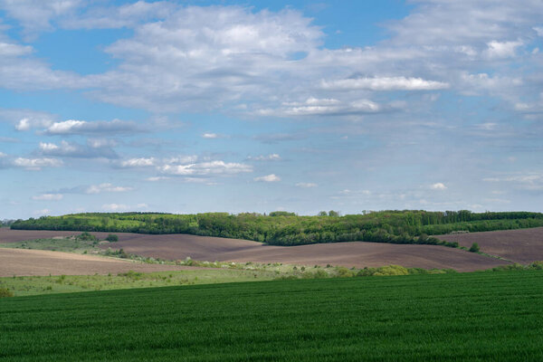 Spring agricultural landscape, Podilski Tovtry nature reserve, Podilia region, South-Western Ukraine