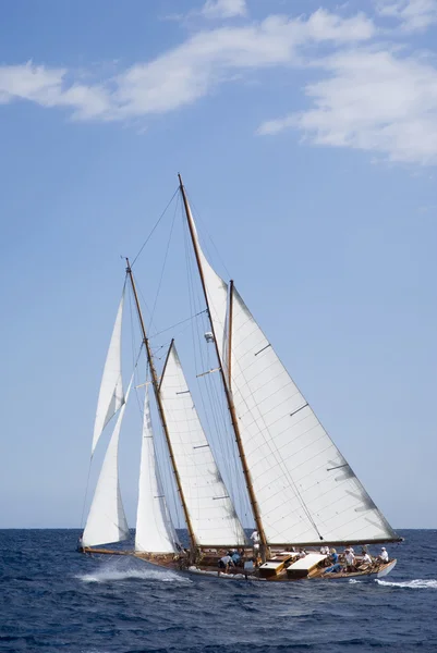 Segelboot — Stockfoto