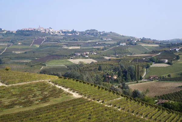 Vingårdar på kullarna i Langhe — Stockfoto