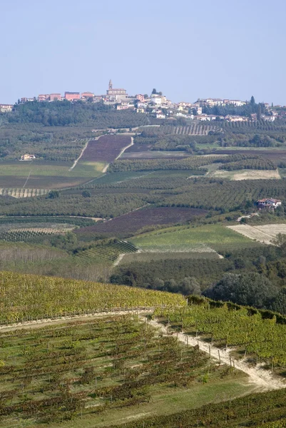 葡萄园的 Langhe 山丘上 — 图库照片