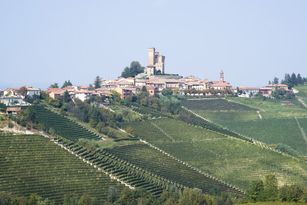 Viticulture in the village of Serralunga d'Alba, Italy