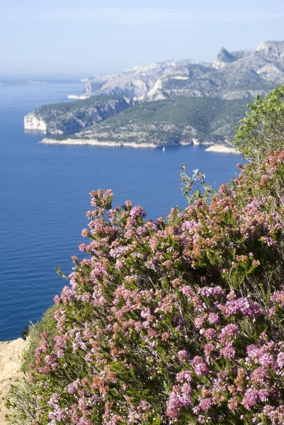 Landschapsmening van het Nationaal Park van de Calanques — Stockfoto