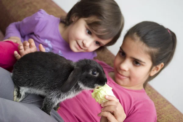 Les filles jouent avec le lapin — Photo