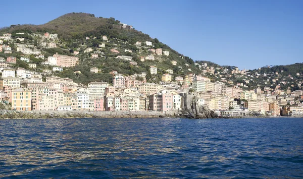 Camogli, olasz riviéra — Stock Fotó