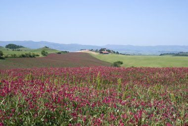 Toskana ilkbahar manzarası