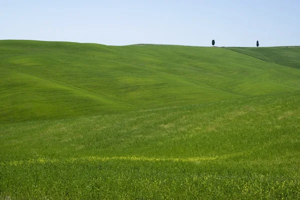 Rural landscape in Tuscany — Stock Photo, Image