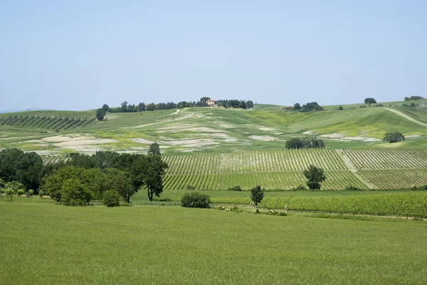 Paisaje rural en Toscana — Foto de Stock
