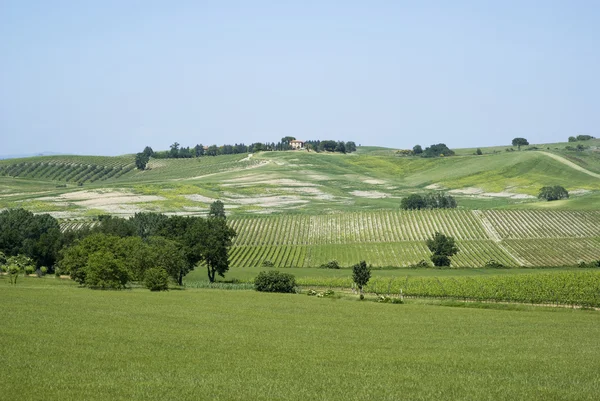 Paysage rural en Toscane — Photo