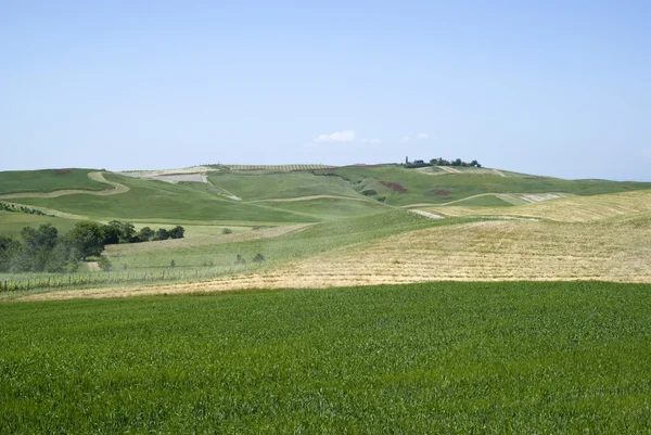 Paisaje rural en Toscana — Foto de Stock