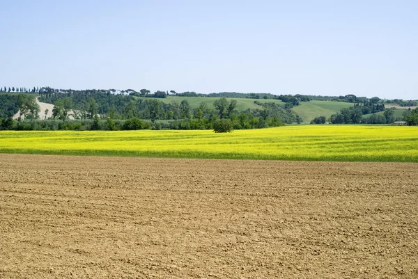 Tuscany spring landscape — Stock Photo, Image