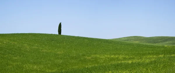 Rural landscape in Tuscany — Stock Photo, Image