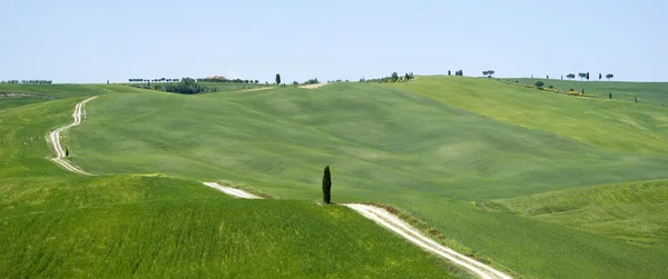 Paysage rural en Toscane — Photo