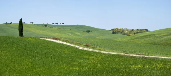Paysage rural en Toscane — Photo