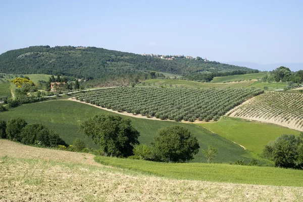 Paisaje agrícola en Toscana — Foto de Stock