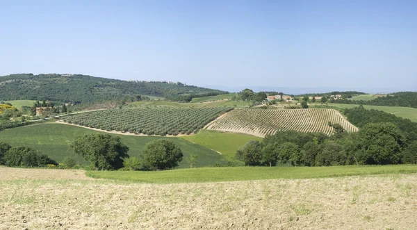 Agrarische landschap in Toscane — Stockfoto