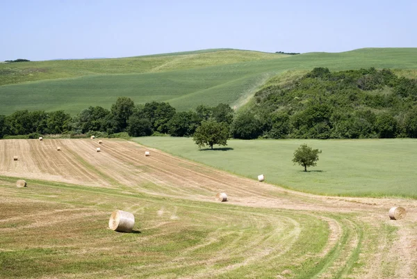 Hay rollen in een gemaaide veld — Stockfoto