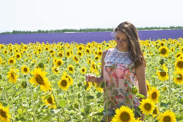 Ragazza in campo girasoli — Foto Stock