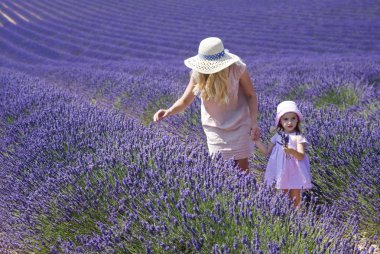 Annesi ve kızı lavanta tarlasında.