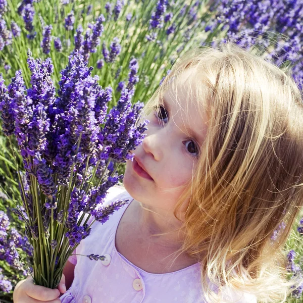 Bir çayır lavanta çiçekli kız çocuk — Stok fotoğraf
