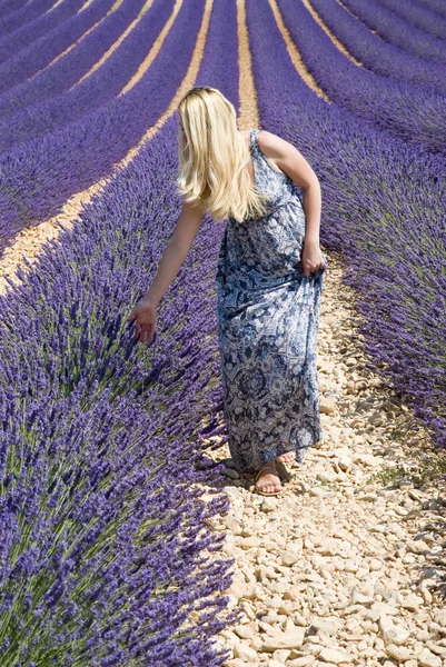 Woman in lavender field — Stock Photo, Image