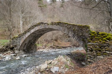 Ligurian Alps dağlarındaki eski taş kemer köprüsü, Mendatica belediyesi, Imperia, İtalya
