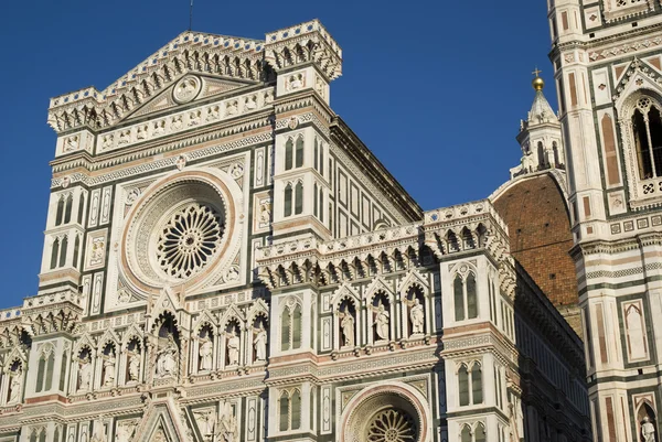 Catedral y torre de Florencia — Foto de Stock