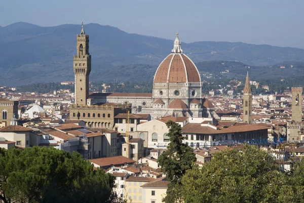 Florence. Vue de la ville depuis les collines — Photo