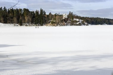 büyük bir göl kışın Park