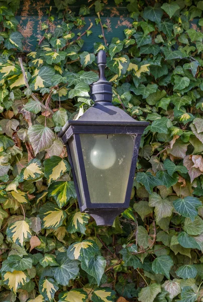 Oude lamp — Stockfoto