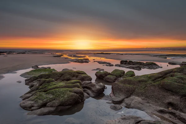 Nieuwe dag — Stockfoto