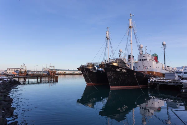 Hafen von Reykjavik — Stockfoto