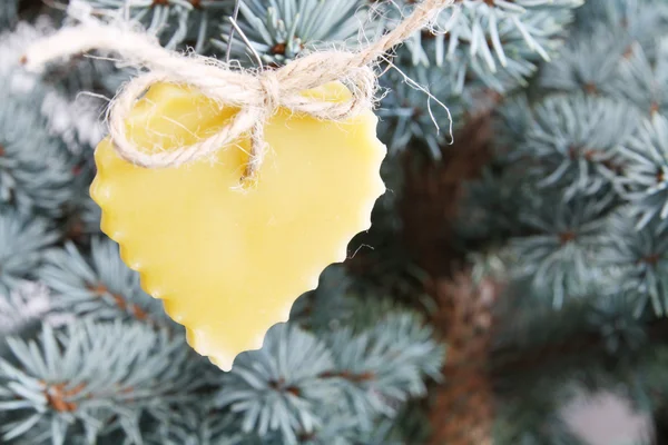 Kerstboom detail — Stockfoto