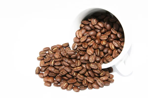 Kahve fincanı