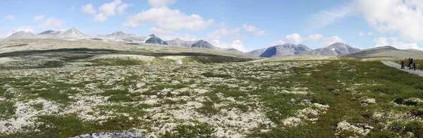 Pejzaż Norwegii — Zdjęcie stockowe