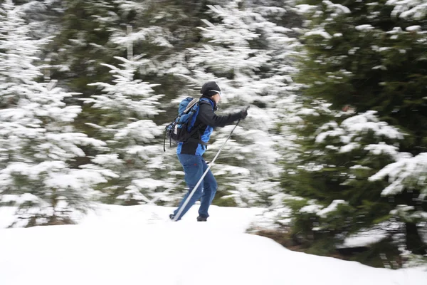 Ski track — Stock Photo, Image