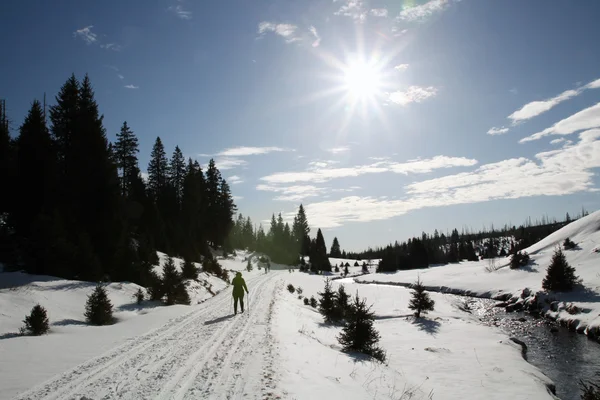 Ski track — Stock Photo, Image