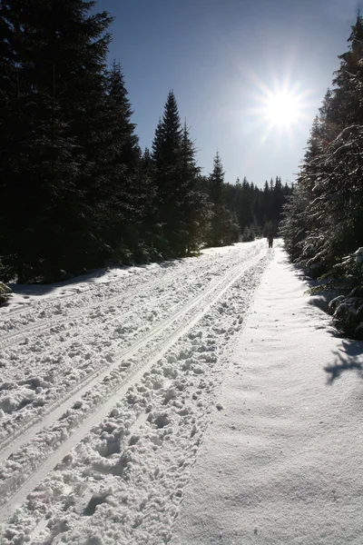 Ski track — Stock Photo, Image