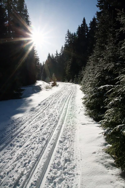 Ski track — Stock Photo, Image