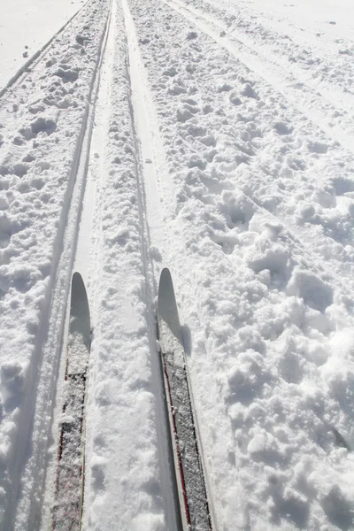 Ski track — Stock Photo, Image