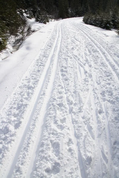 Ski track — Stock Photo, Image