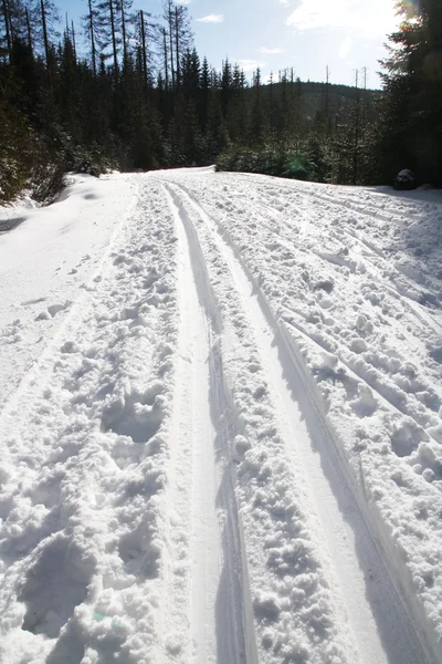 Ski track — Stock Photo, Image